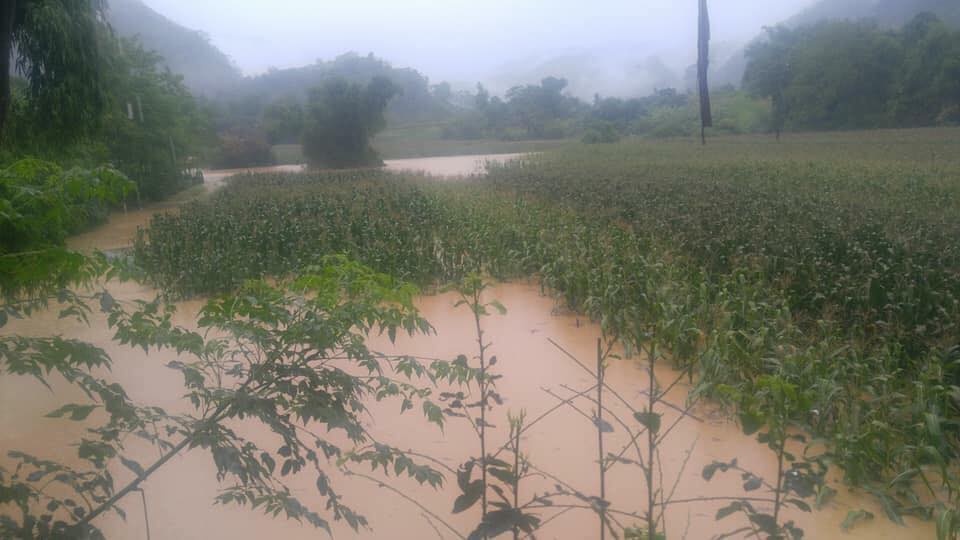 Lu quet o mien bac anh 11