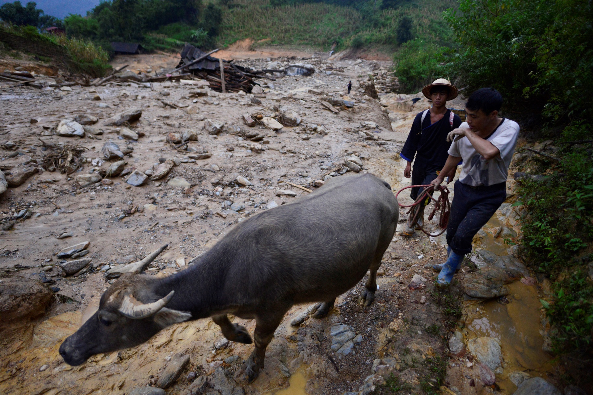 Bac Bo mua dong keo dai, de phong lu quet, sat lo dat hinh anh
