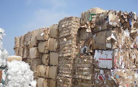 Thu tuong: Khong de Viet Nam thanh bai thai phe lieu hinh anh