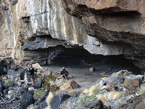 nguon goc loai nguoi anh 2