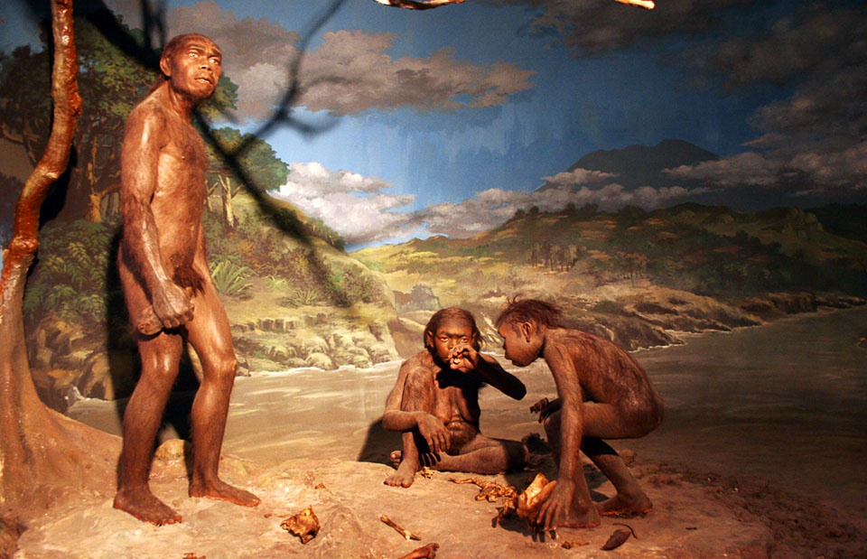 nguon goc loai nguoi anh 4