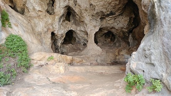 nguon goc loai nguoi anh 5