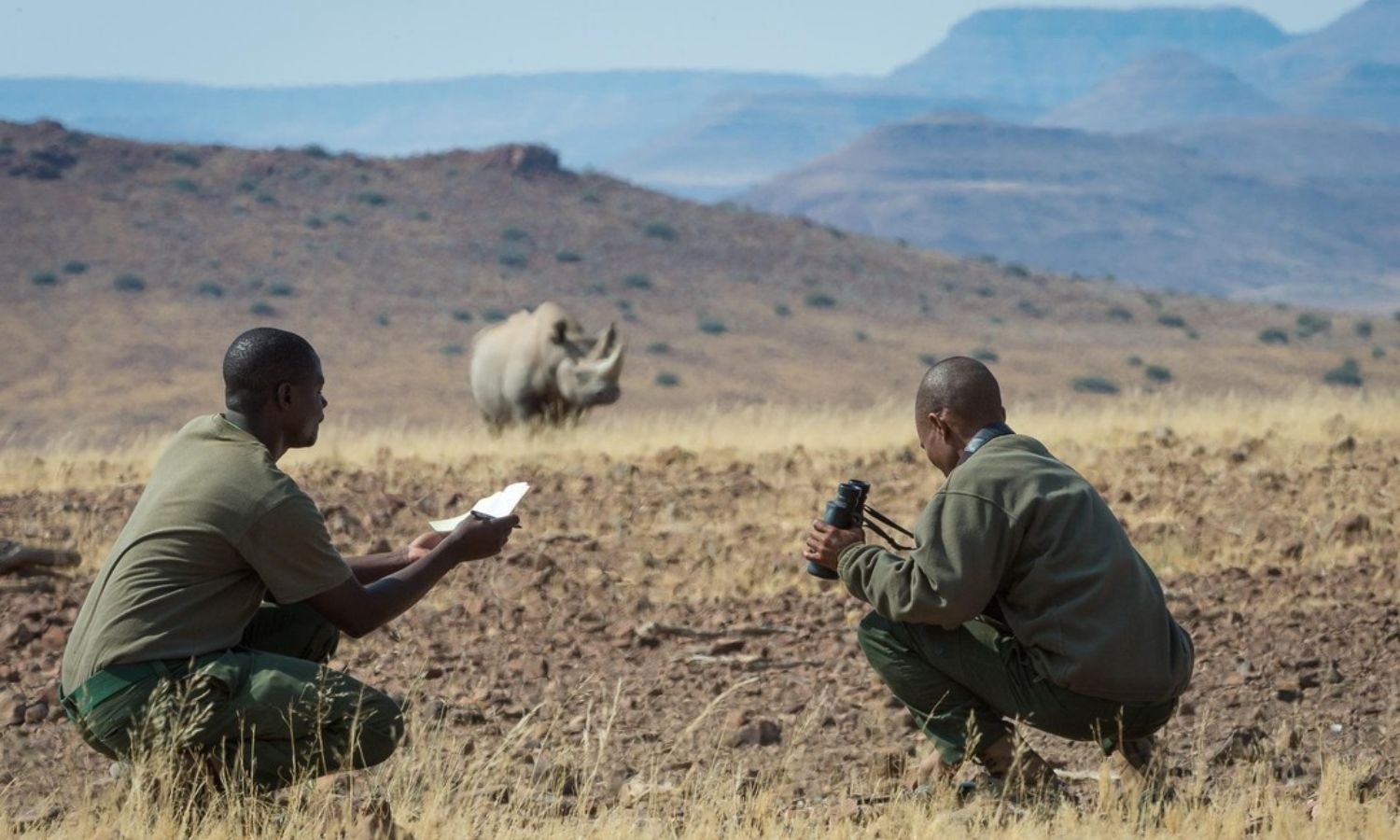 dong vat hoang da anh 3