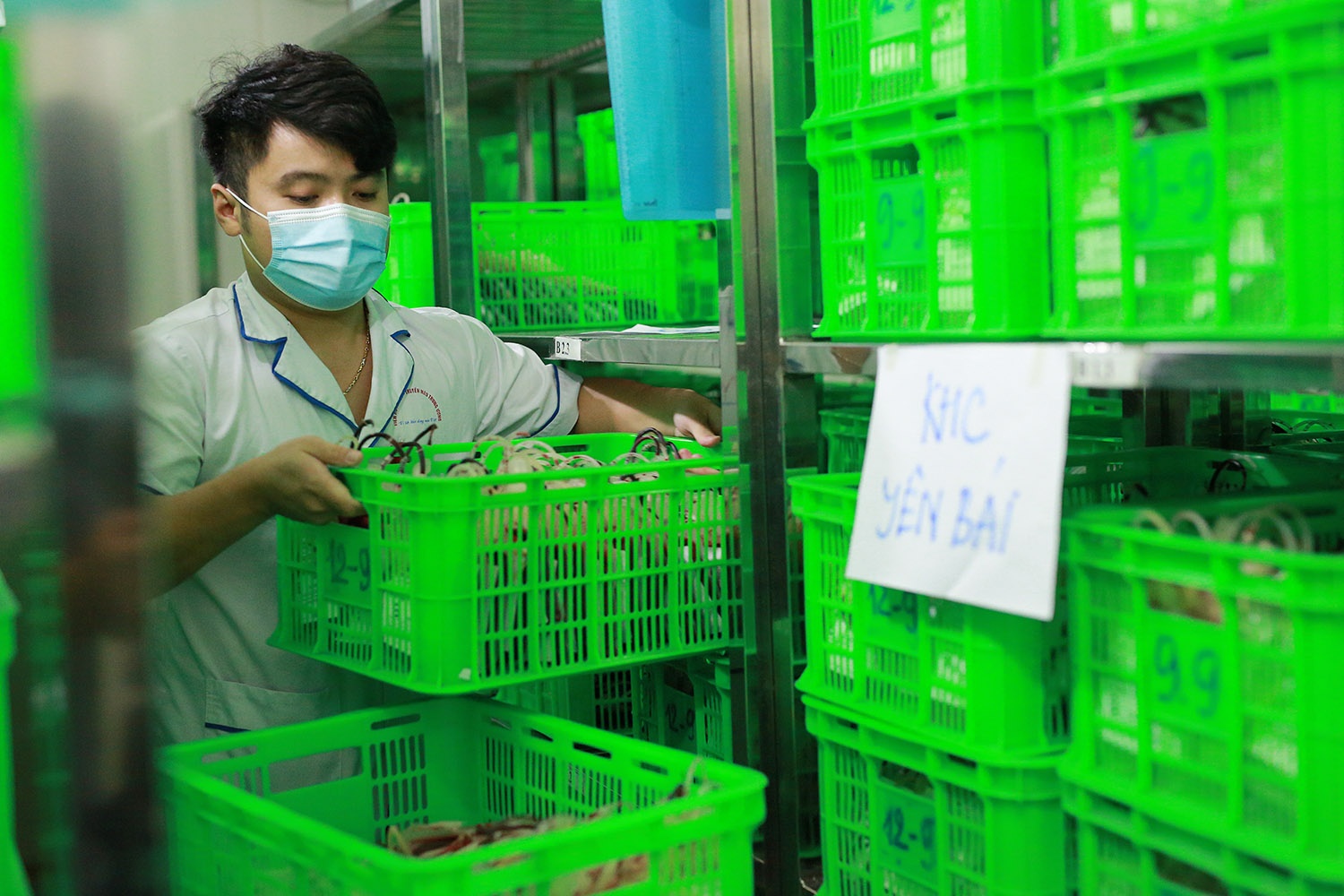 Số lượng máu cung cấp  đạt kỷ lục  ảnh 1 So luong mau cung cap  dat ky luc anh 1