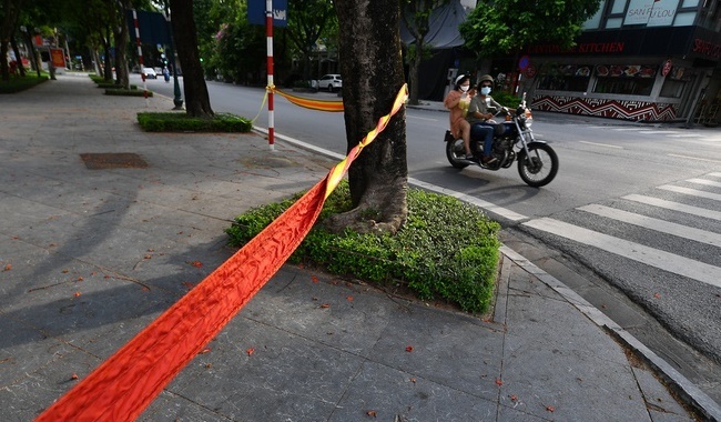 PGS.TS Tran Dac Phu: 'Tinh hinh dich tai Ha Noi con phuc tap' hinh anh