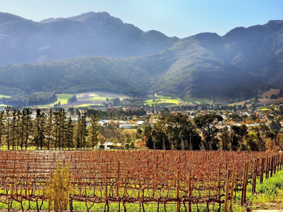 ty phu Richard Branson tieu tien nhu the nao anh 13