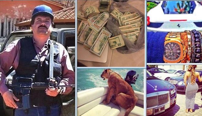 trum ma tuy the gioi song xa xi anh 2