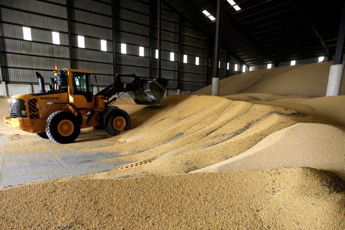 Trung Quoc dung mua nong san My anh 1