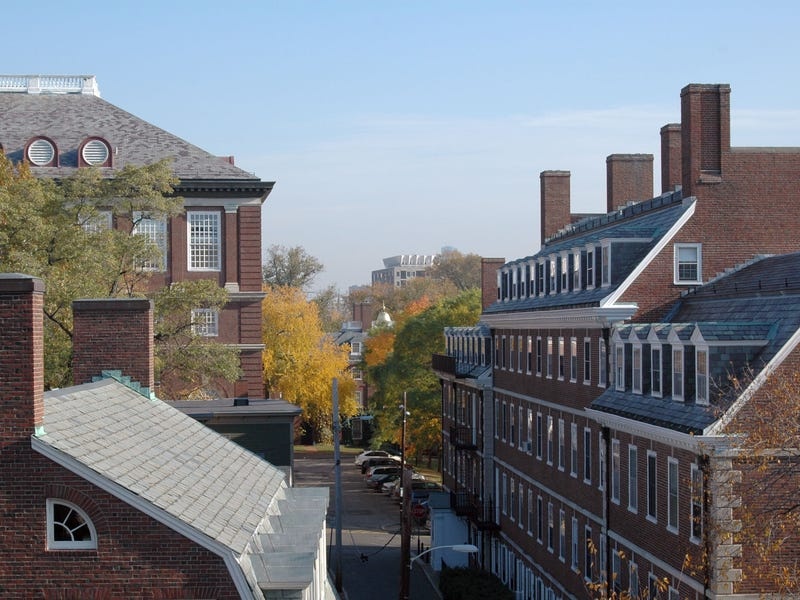 Elizabeth Warren giau co co nao anh 5