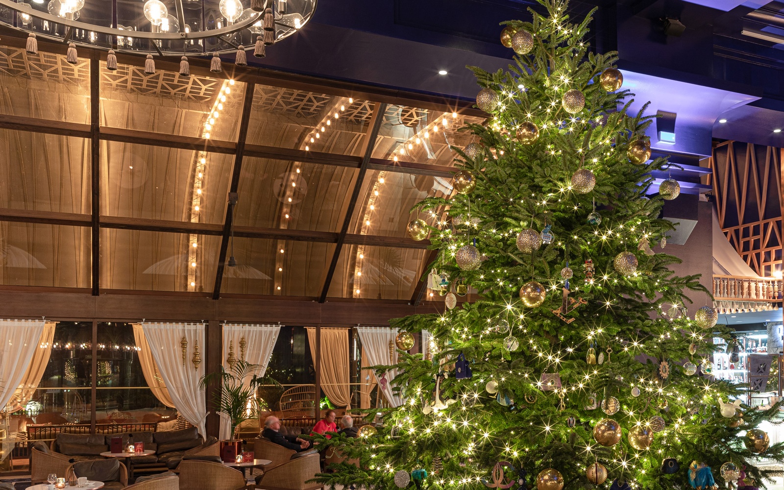 cay thong noel dat nhat the gioi anh 1