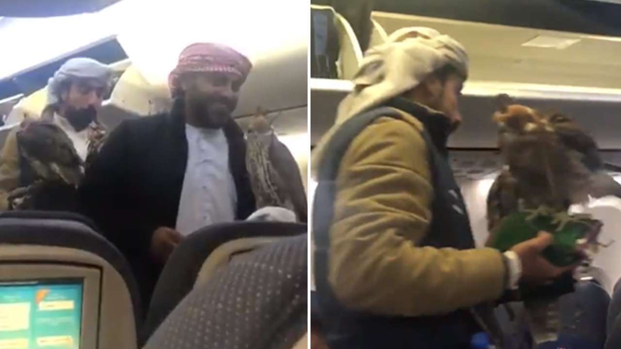 tro lo cua hanh khach tren may bay anh 1