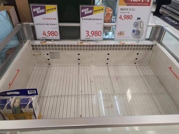 Daegu chim trong chat khu trung vi dich Covid-19 anh 11