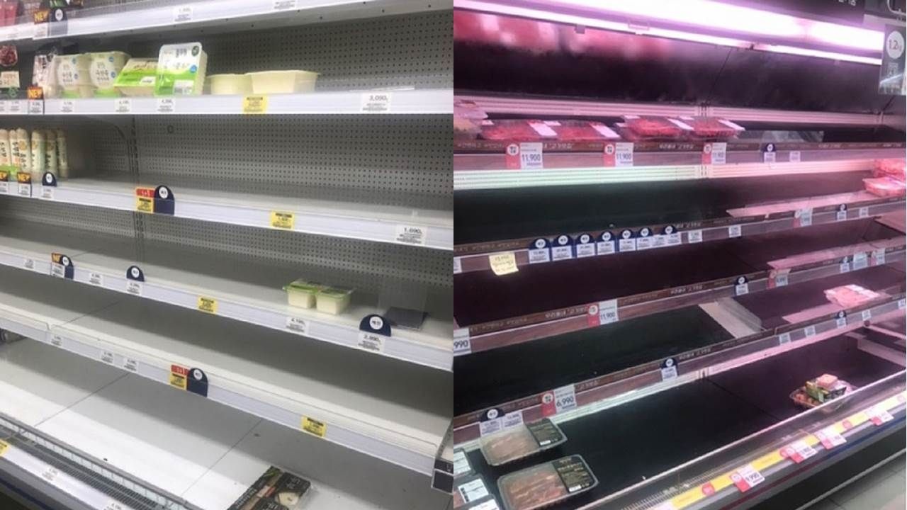 Daegu chim trong chat khu trung vi dich Covid-19 anh 15