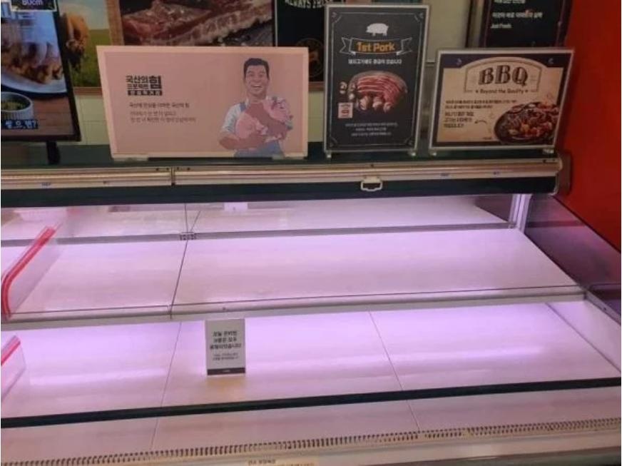 Daegu chim trong chat khu trung vi dich Covid-19 anh 12