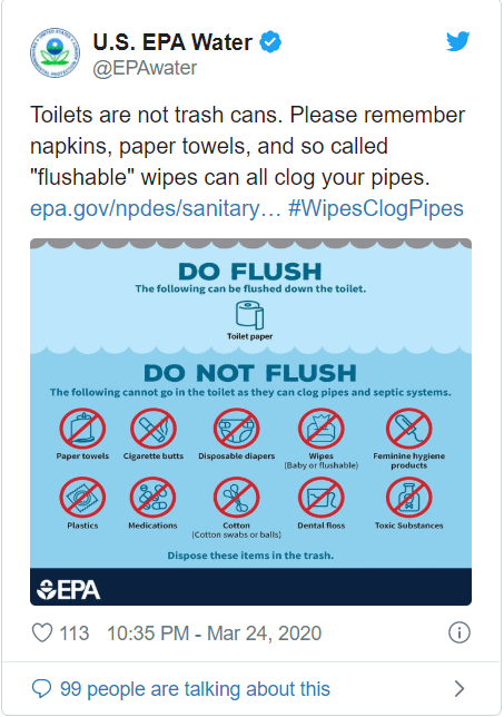 dan My dung khan vai va giay an thay giay ve sinh anh 2