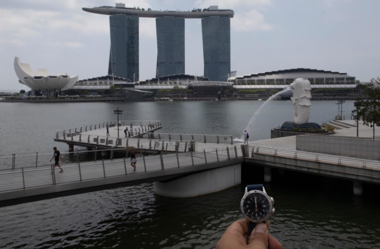 canh vang ve o nhieu noi tren the gioi anh 12