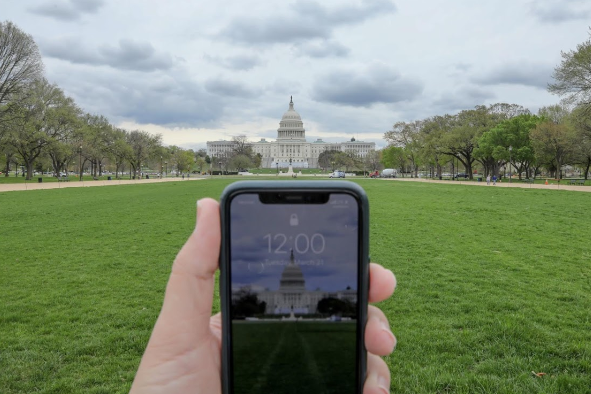 canh vang ve o nhieu noi tren the gioi anh 4