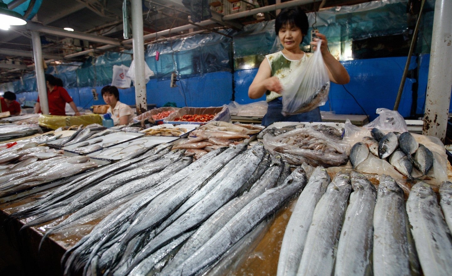 Chuyen gia phan doi Trung Quoc mo lai cac cho ban do tuoi song hinh anh