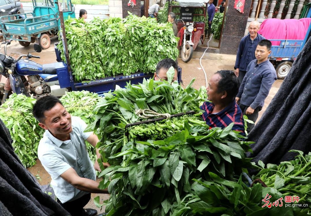 nguoi Trung Quoc lam viec,  vui choi anh 17