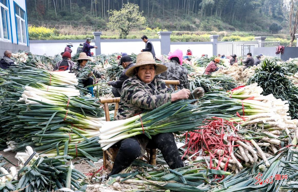 nguoi Trung Quoc lam viec,  vui choi anh 12