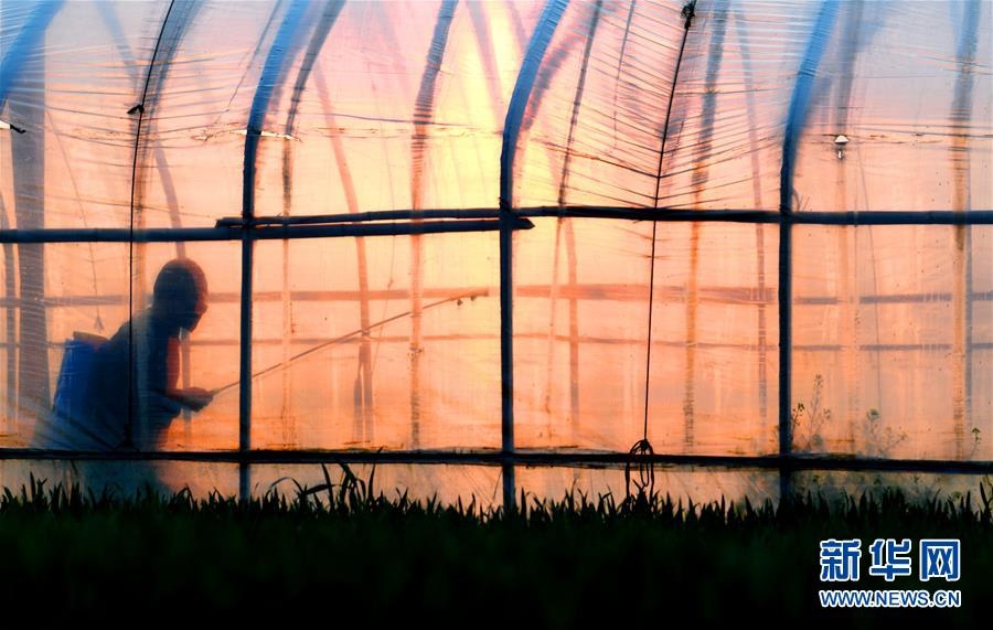 nguoi Trung Quoc lam viec,  vui choi anh 13