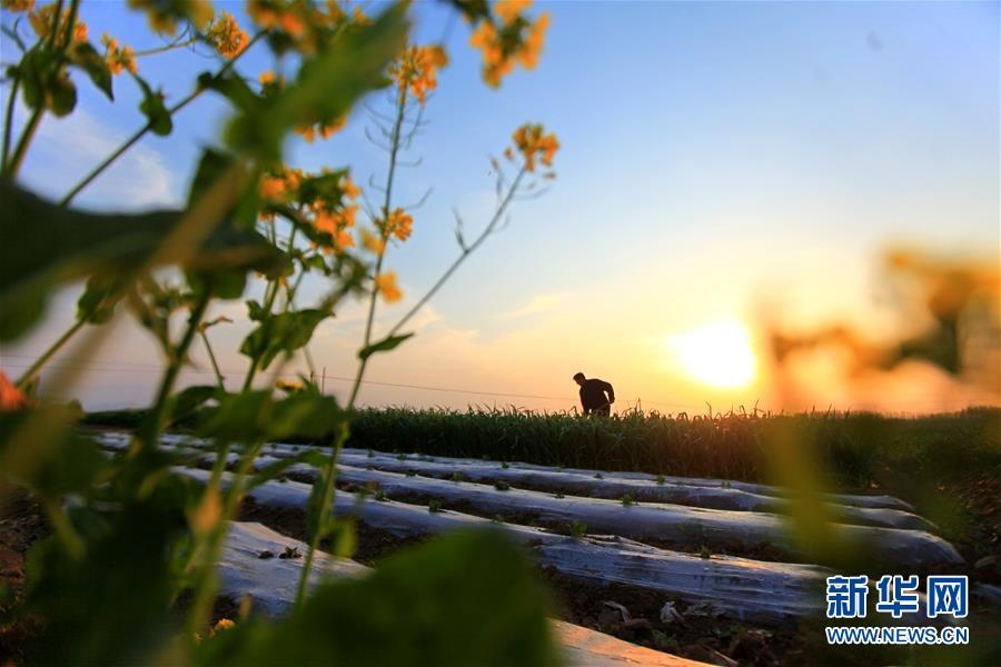 nguoi Trung Quoc lam viec,  vui choi anh 14