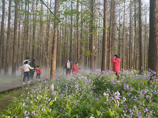 dan Trung Quoc keo nhau di du lich anh 9