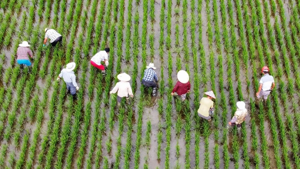 lu lut anh huong kinh te Trung Quoc anh 5