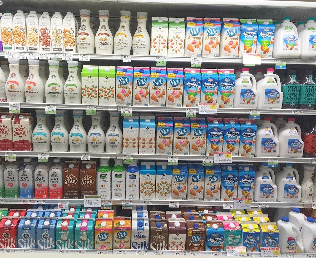 nganh cong nghiep do an chay anh 2