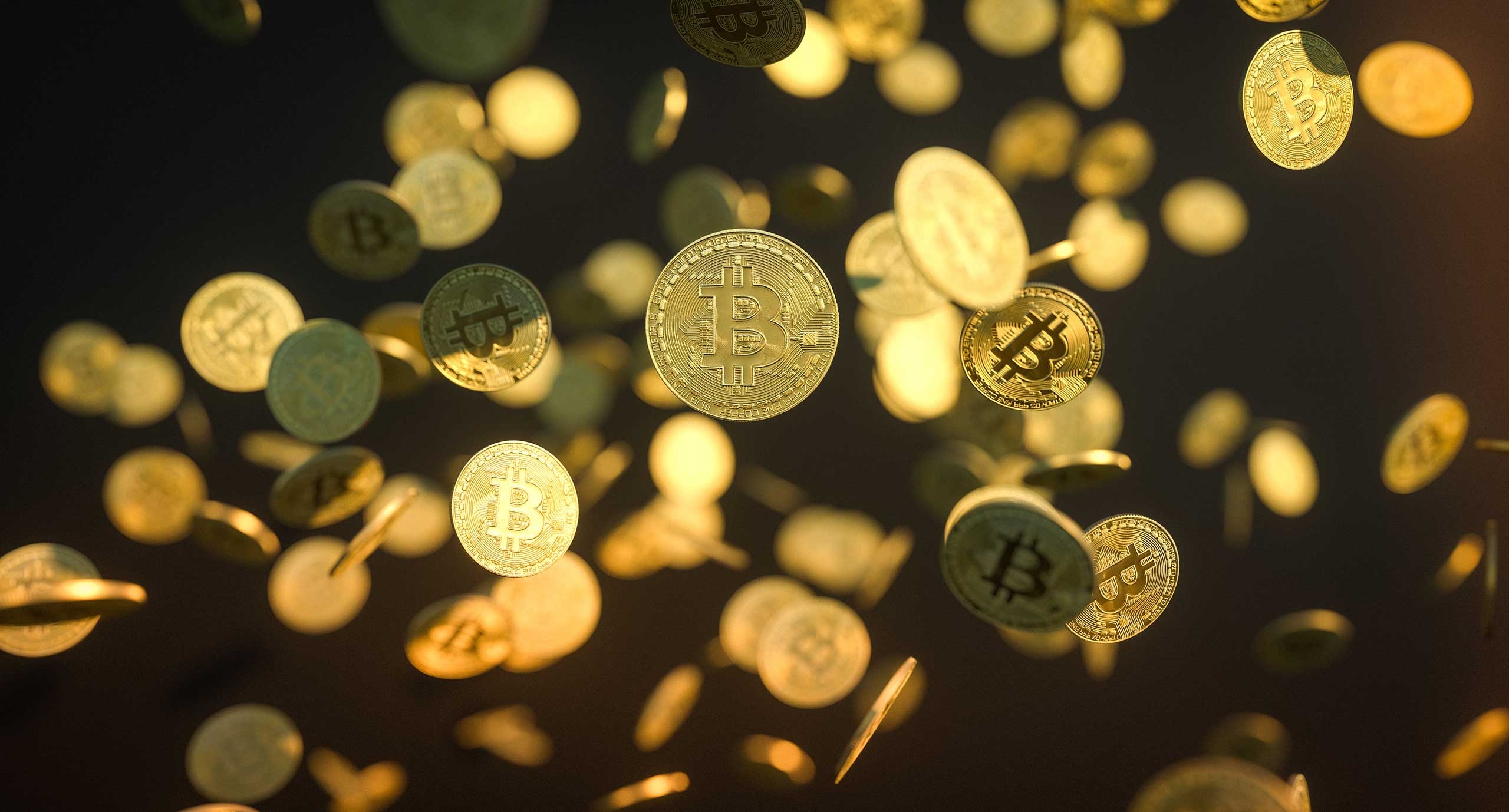 'Gia tri Bitcoin se bay hoi theo thoi gian' hinh anh