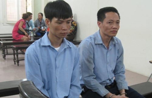 Hai giao vien ban hang tram giay phep lai xe gia hinh anh