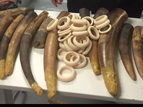 Nhan 200 USD linh 12 thang tu hinh anh