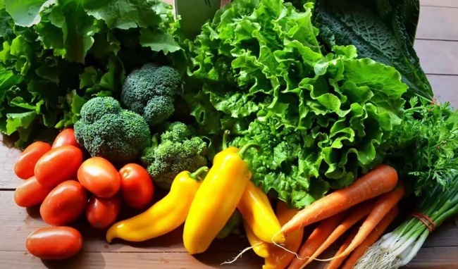 Co nen an hoa qua thay rau xanh? hinh anh