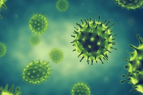 De phong cum A can phai biet nhung dieu sau hinh anh