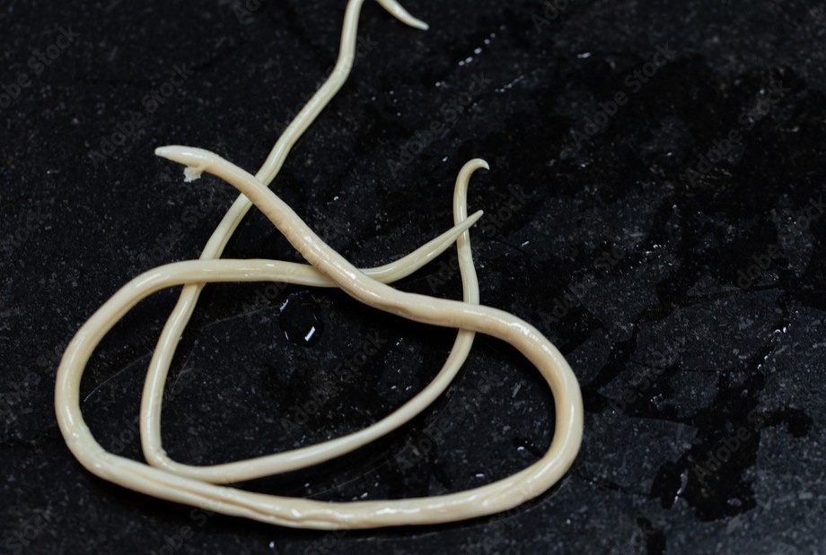 Nhung nguoi nen tay giun thuong xuyen hinh anh