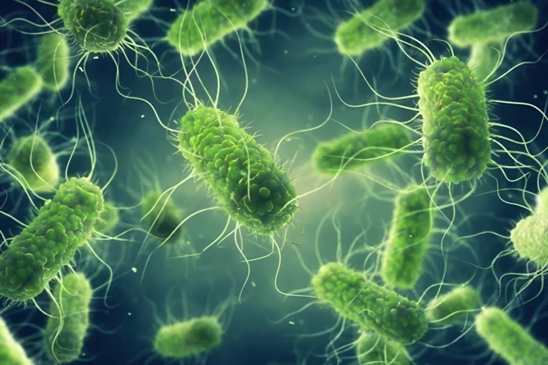 4 'thu pham' gay ngo doc thuc pham pho bien nhat the gioi hinh anh