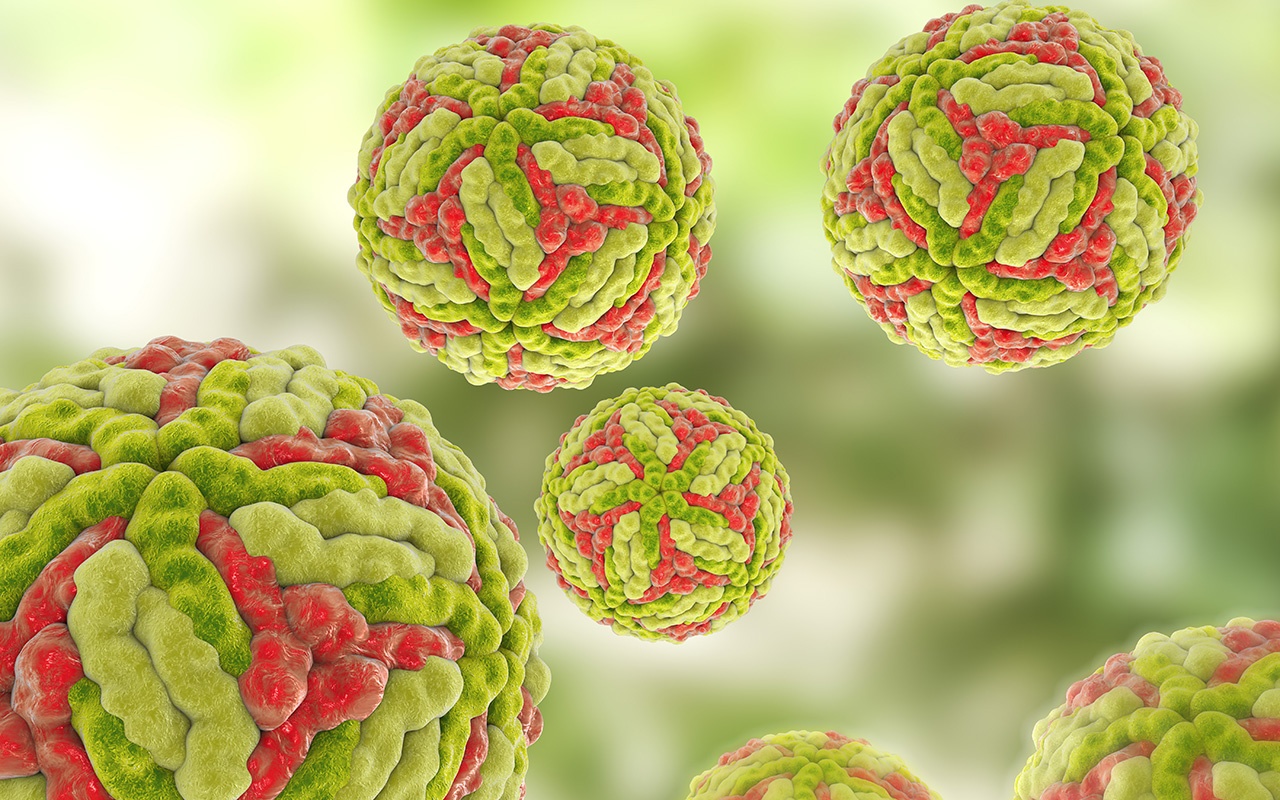 Quang Ninh ghi nhan ca viem nao Nhat Ban dau tien trong nam hinh anh