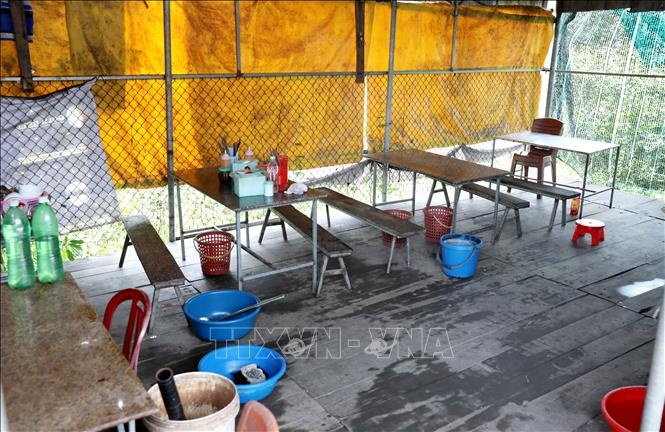 Ket qua dieu tra vu an tiet canh, long lon lam 2 nguoi khong qua khoi hinh anh