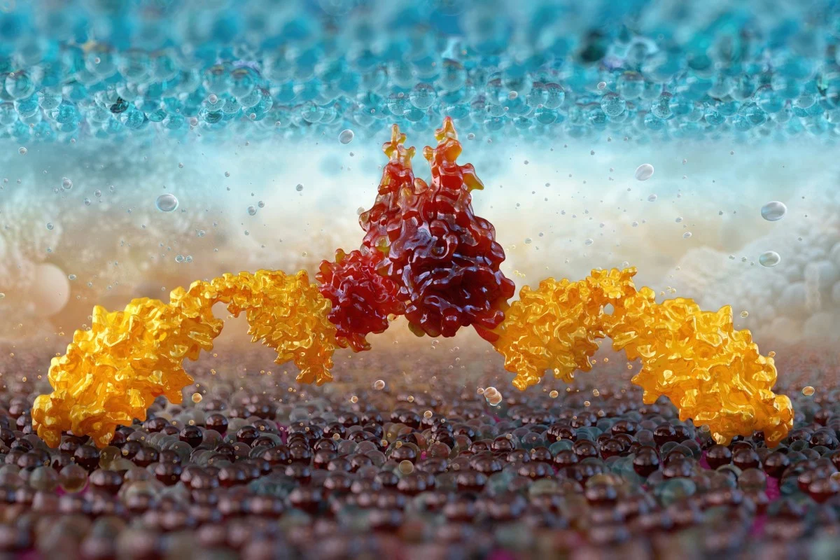 Trung Quoc cong bo lieu phap ung thu moi, rut ngan thoi gian dieu tri hinh anh