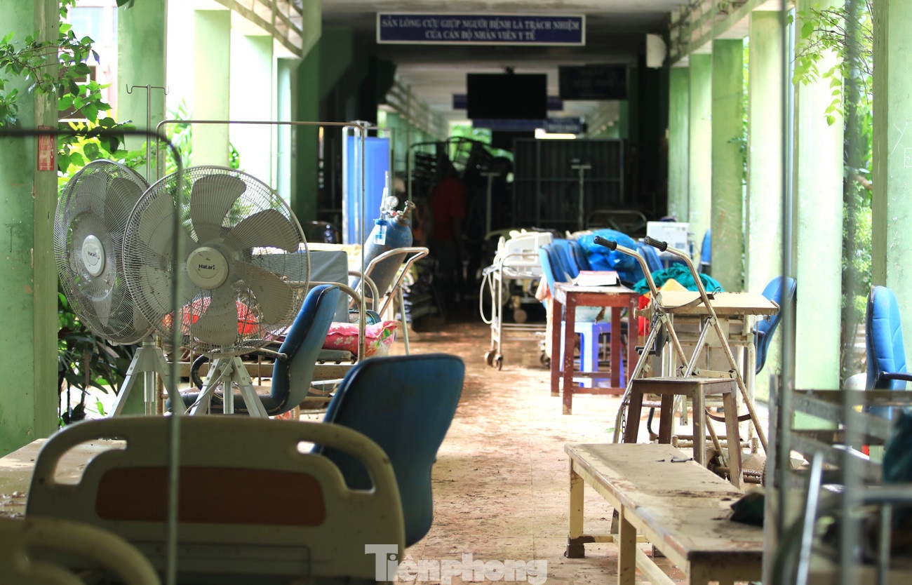 bao Nghe An anh 4