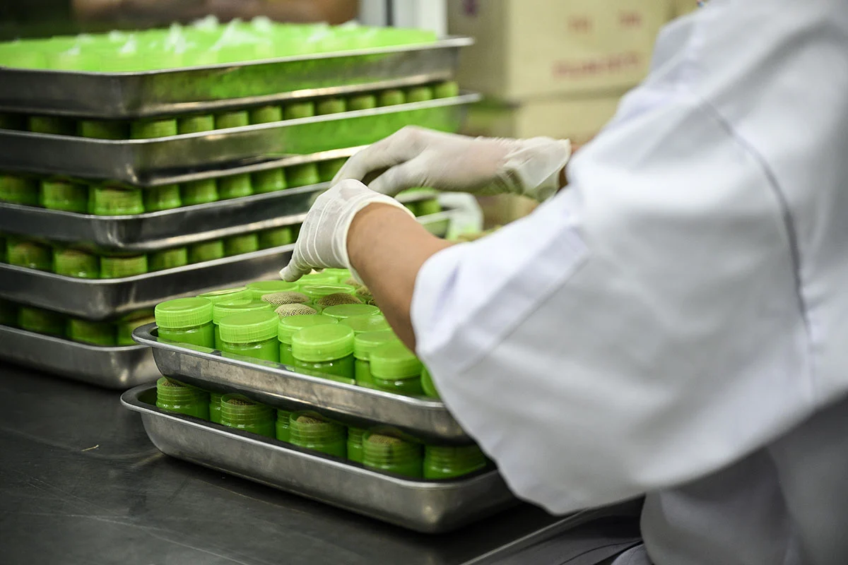 dầu hít Hồng Thái  ảnh 1 dau hit Hong Thai anh 1