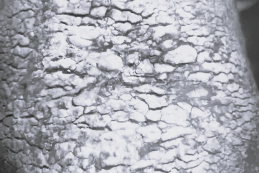 kien ba khoang anh 2