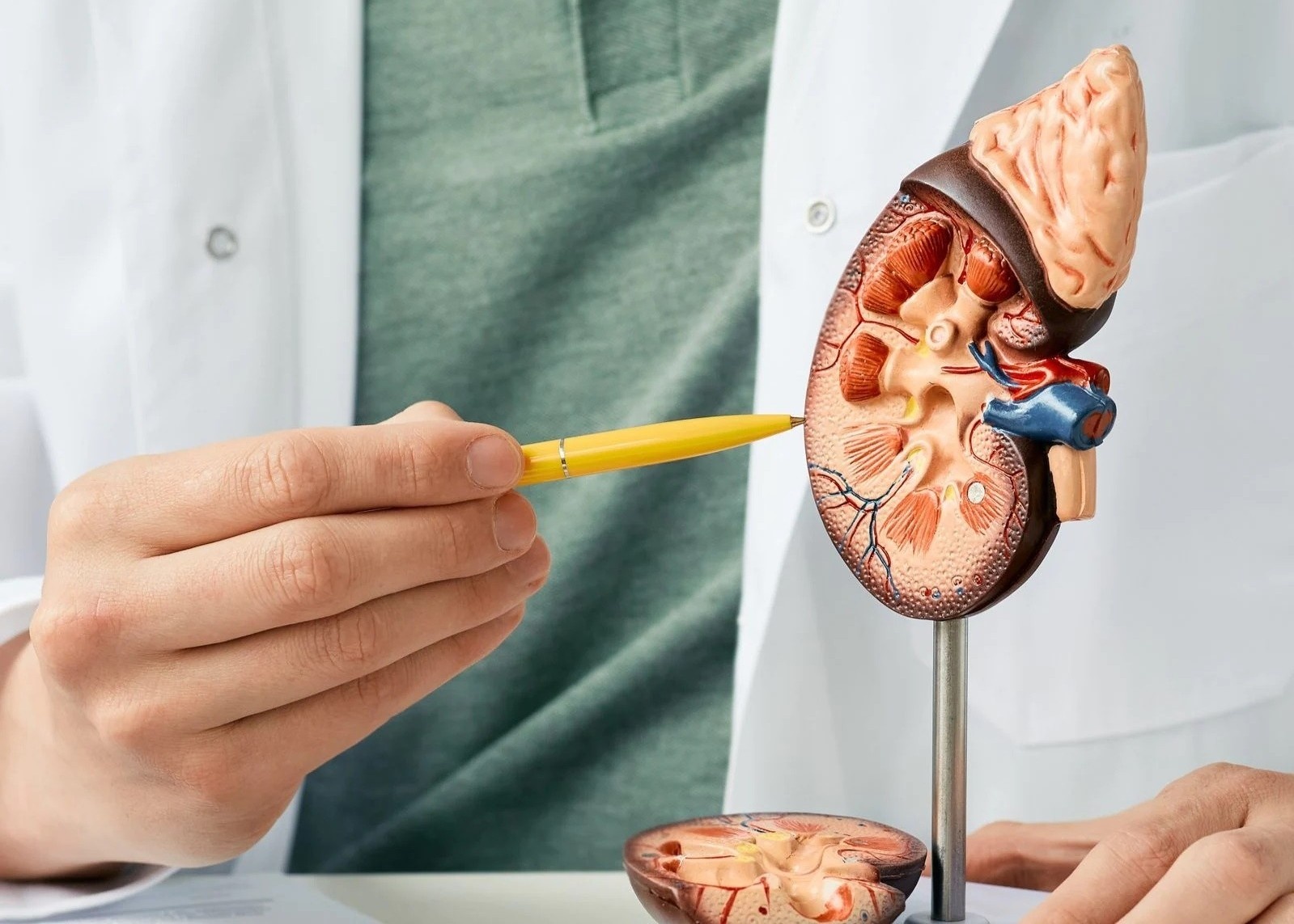 6 dau hieu nhan biet som benh than hinh anh