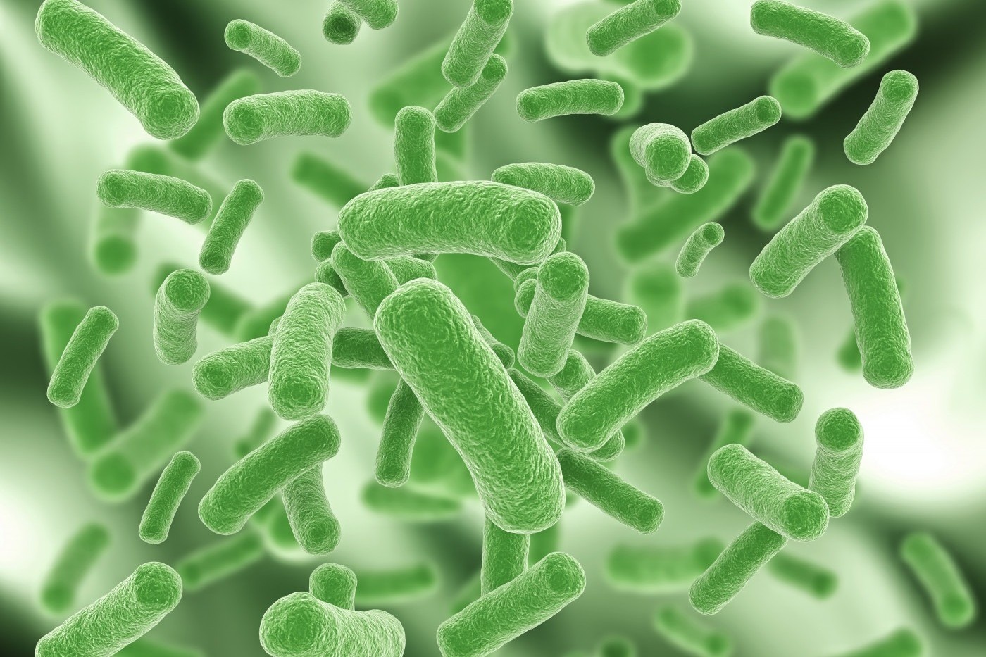 Loai vi khuan 'an mon' mo mem, khien da hoai tu sau con sot cao hinh anh