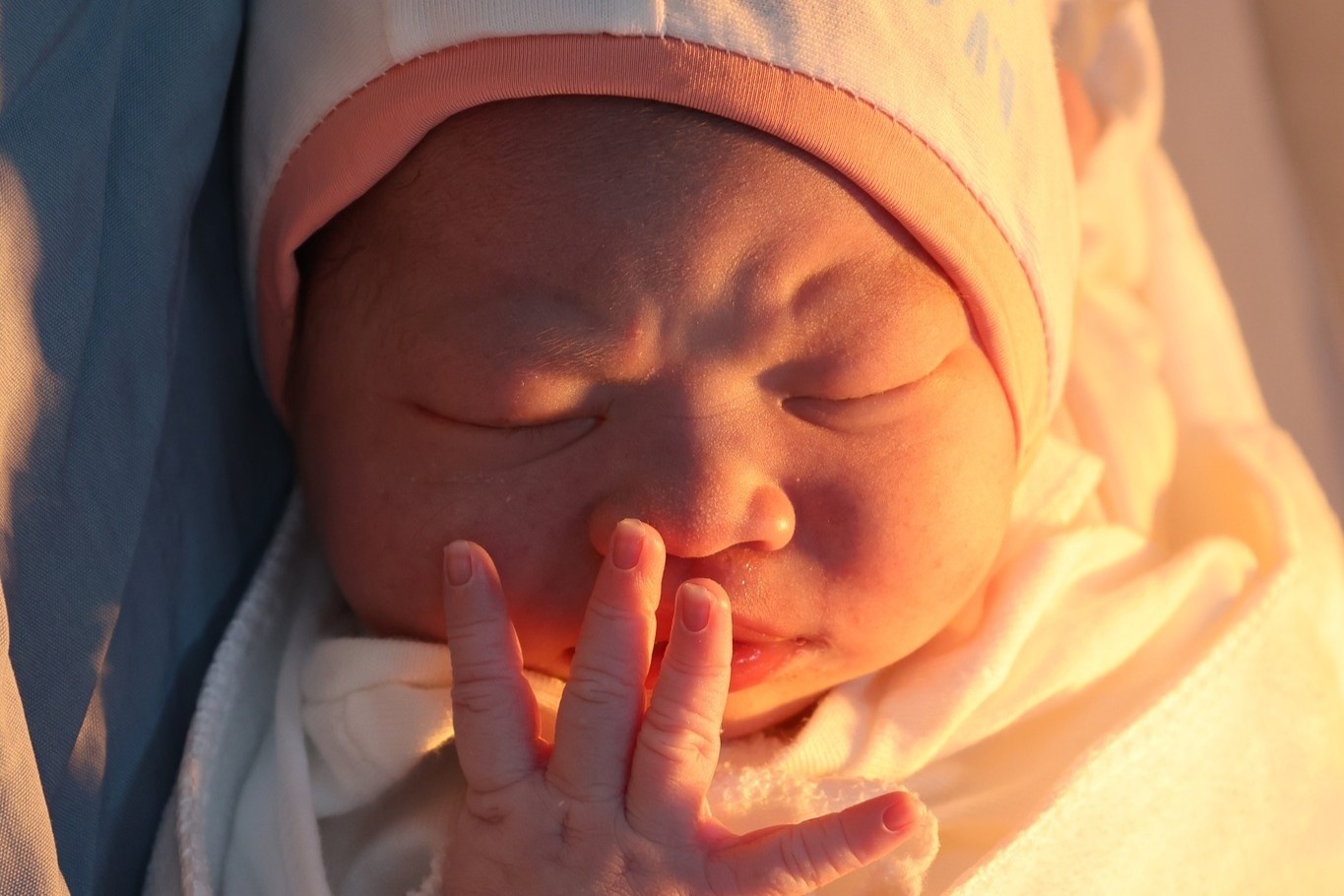 Ngam nhung 'cong dan nhi' dau tien cua nam 2026 hinh anh