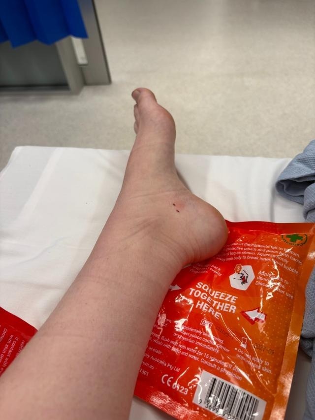 ran nau phuong Dong anh 3