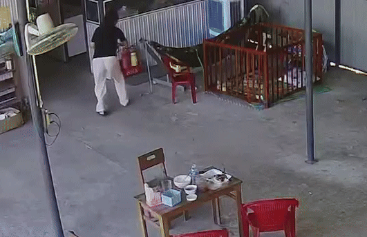 Ran doc bo len vong, phan xa cua nguoi me cuu con trong gang tac hinh anh