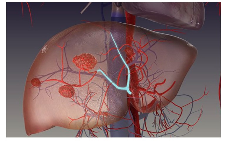 Dau tuc ha suon, an kem, sut can… la dau hieu benh gi? hinh anh