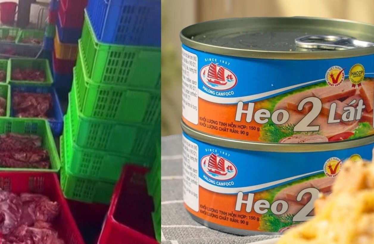 Heo nhiem virus vao Do hop Ha Long: 'Nhat dao chi mang' vao da day hinh anh