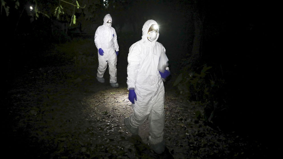 Khac biet giua lay nhiem virus Nipah va Covid-19 hinh anh